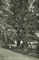 nowe-18561.jpg