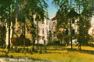 Milicz Pałac - Reprodukcja 18585