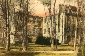 Milicz Pałac - Reprodukcja 18586