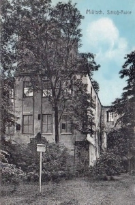 Milicz Pałac - Reprodukcja 18587