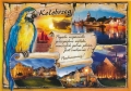 nowe-IMG_0026.jpg