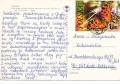 nowe-IMG_0041.jpg