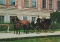 nowe-IMG_0107.jpg