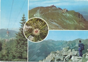 Myślenickie Turnie - 07003