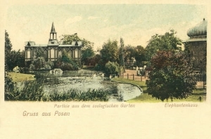 Poznań Ogród Zoologiczny - Reprodukcja 5351