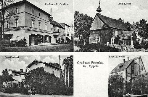 nowe-18590.jpg