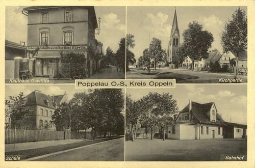 nowe-18591.jpg