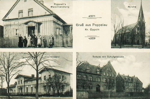 nowe-18592.jpg