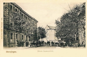 Głogówek szkoła - Reprodukcja 18613