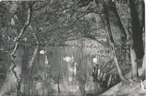 Gdańsk Oliwa  01879