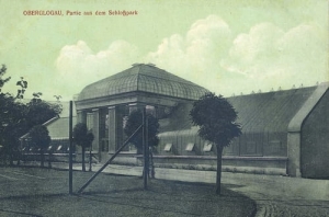 Głogówek park zamkowy - Reprodukcja 18619