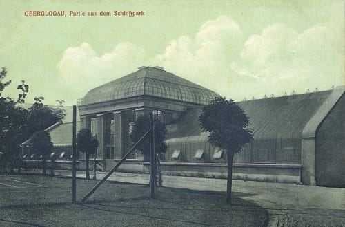 nowe-18619.jpg