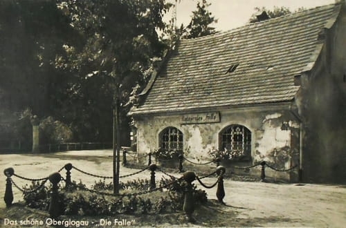 nowe-18634.jpg