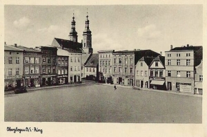 Głogówek Rynek - Reprodukcja 18636