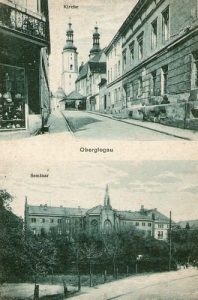 Głogówek widokowa - Reprodukcja 18647