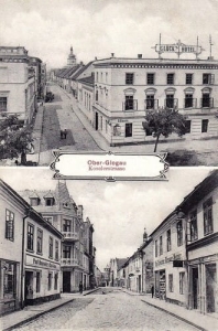 Głogówek widokowa - Reprodukcja 18648