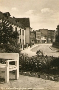 Głogówek - Reprodukcja 18651