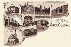 Głogówek widokowa - Reprodukcja 18660