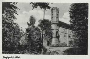 Głogówek zamek - Reprodukcja 18666