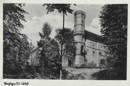 nowe-18666.jpg