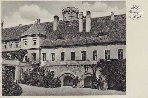 nowe-18668.jpg
