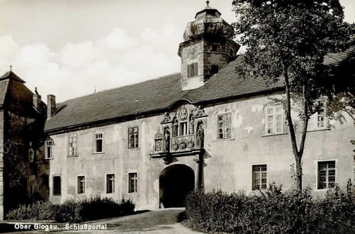 nowe-18671.jpg