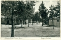 nowe-14967.jpg