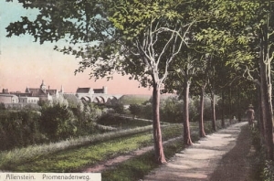 Olsztyn - Reprodukcja 18711