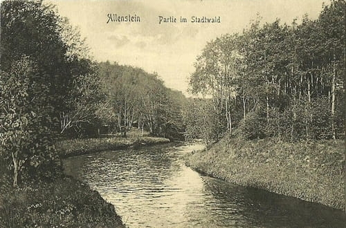 nowe-18732.jpg