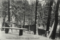 nowe-18734.jpg