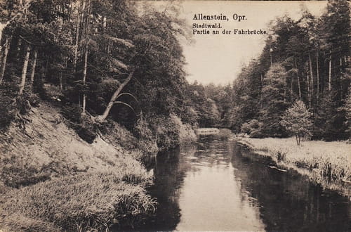 nowe-18735.jpg