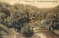 nowe-18739.jpg