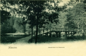 Olsztyn - Reprodukcja 18740