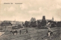 nowe-18753.jpg