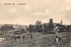 Olsztyn panorama - Reprodukcja 18753