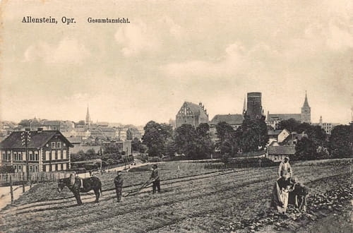 nowe-18753.jpg