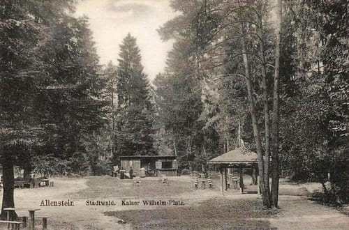 nowe-18782.jpg