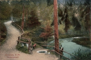 Olsztyn - Reprodukcja 18891