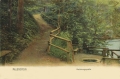 nowe-18893.jpg