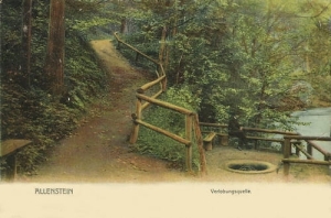 Olsztyn - Reprodukcja 18893