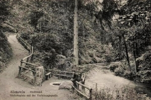 Olsztyn - Reprodukcja 18894