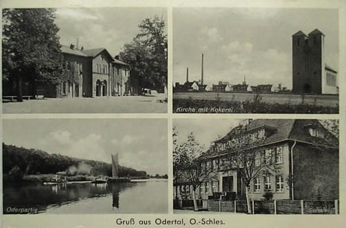 nowe-18921.jpg