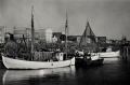nowe-2648.jpg