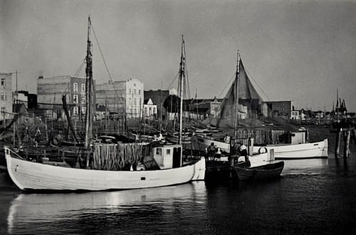 nowe-2648.jpg