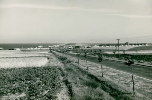 Hel Panorama - Reprodukcja 2683