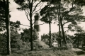 nowe-2696.jpg