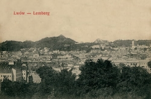 Lwów Panorama - Reprodukcja 2772