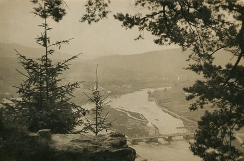 7618217459