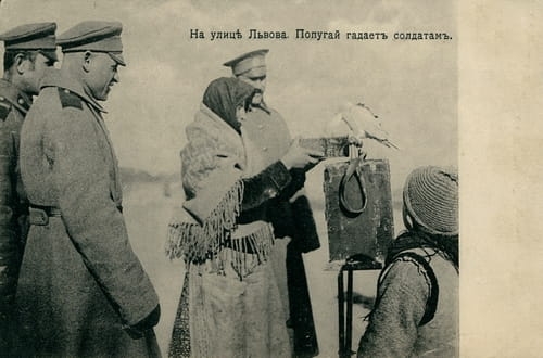 nowe-2794.jpg