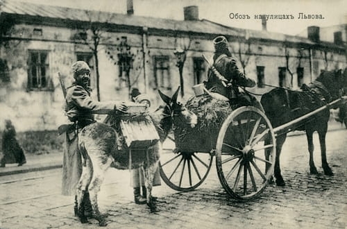 nowe-2795.jpg